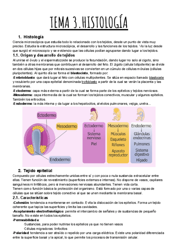 Miniatura del documento TEMA-3.-HISTOLOGIA.pdf