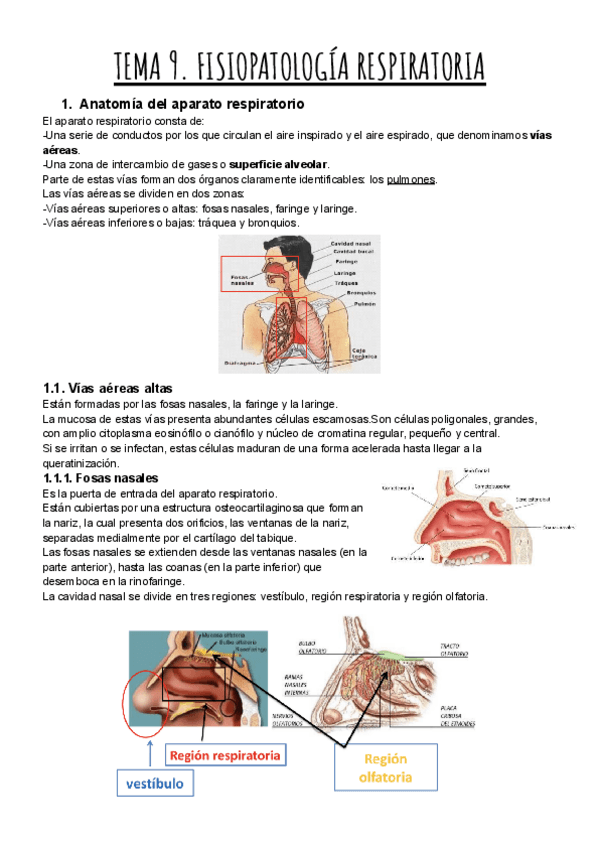 Miniatura del documento TEMA-9.-FISIOPATOLOGIA-RESPIRATORIA.pdf