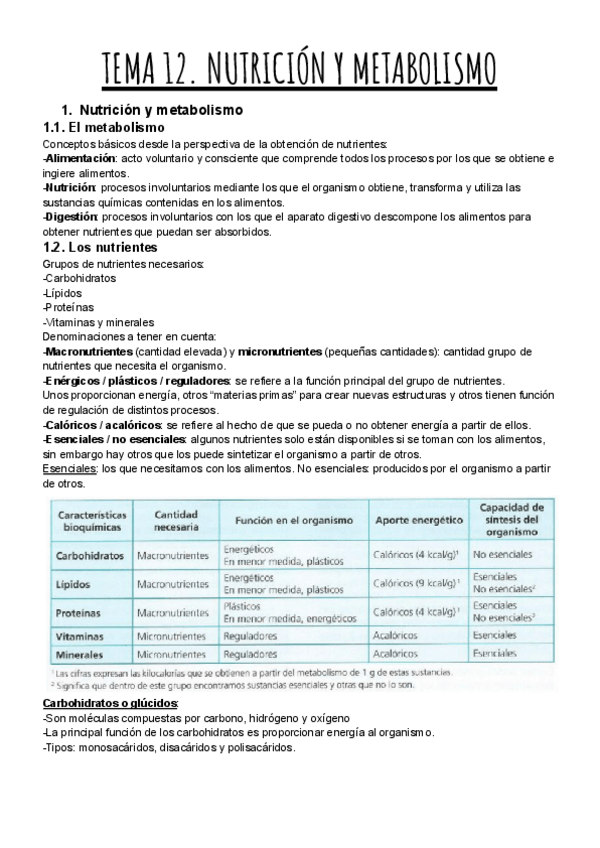 Miniatura del documento TEMA-12.-NUTRICION-Y-METABOLISMO.pdf