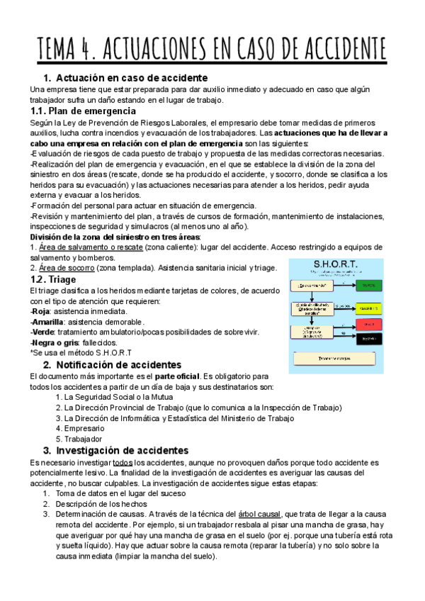 Miniatura del documento TEMA-4.-ACTUACIONES-EN-CASO-DE-ACCIDENTE.pdf
