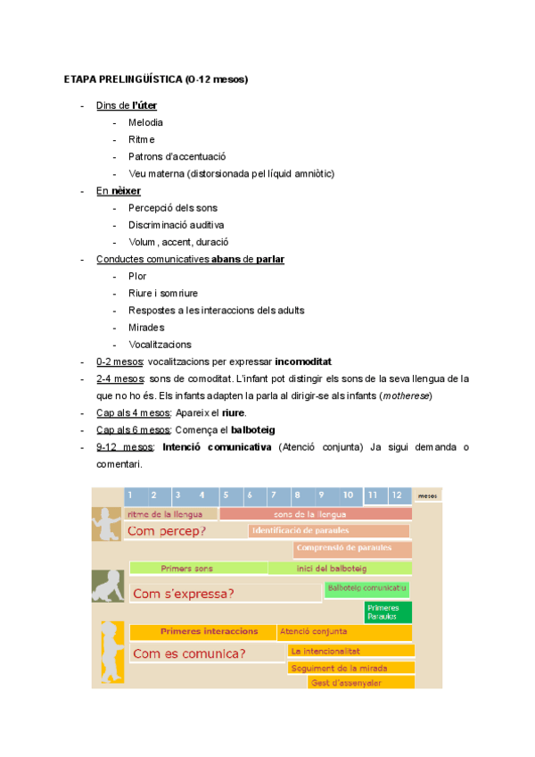 Miniatura del documento 2.1.2.-Etapes-en-la-llengua.pdf
