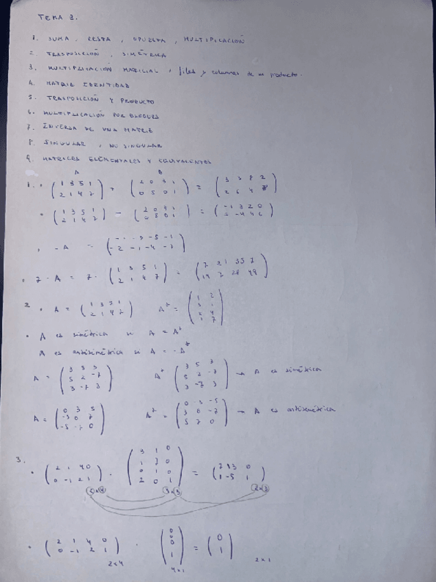 Miniatura del documento Tema-3-Algebra.pdf