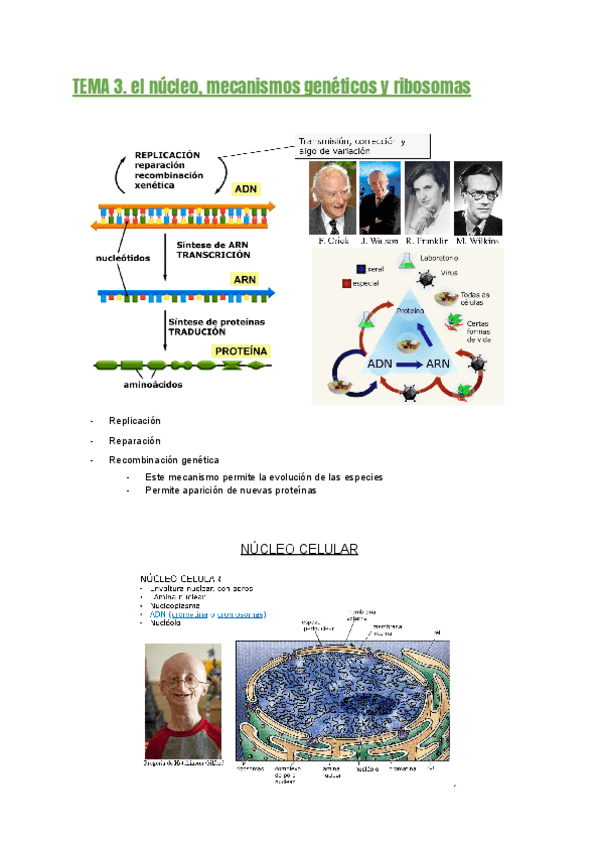 Miniatura del documento TEMA-3.pdf