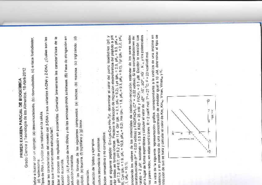 Miniatura del documento Examenes Bioquímica.pdf