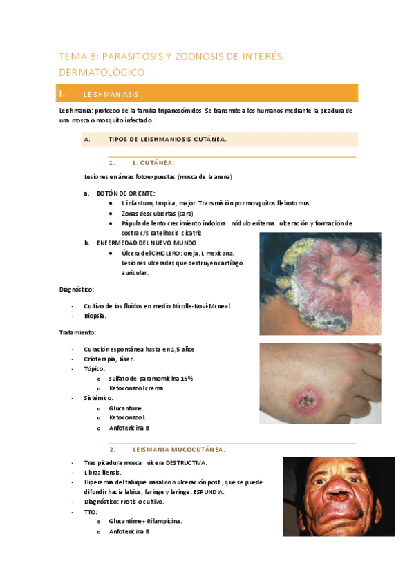 Miniatura del documento TEMA-8.pdf