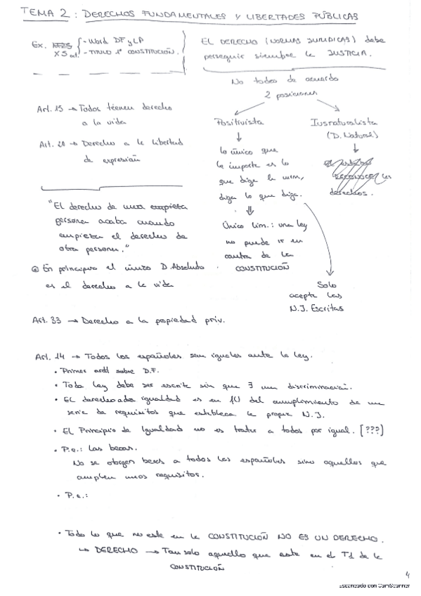 Miniatura del documento DerechosFundamentalesLibertadesPublivas.pdf