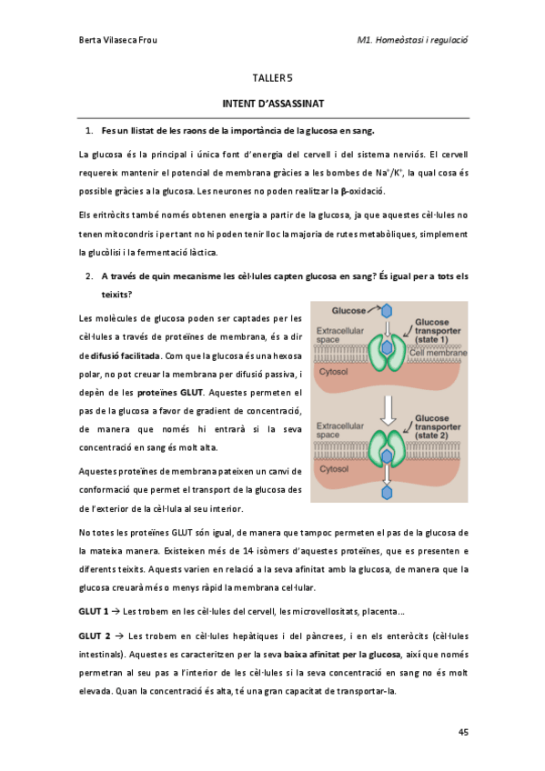 Miniatura del documento TALLER-5.pdf