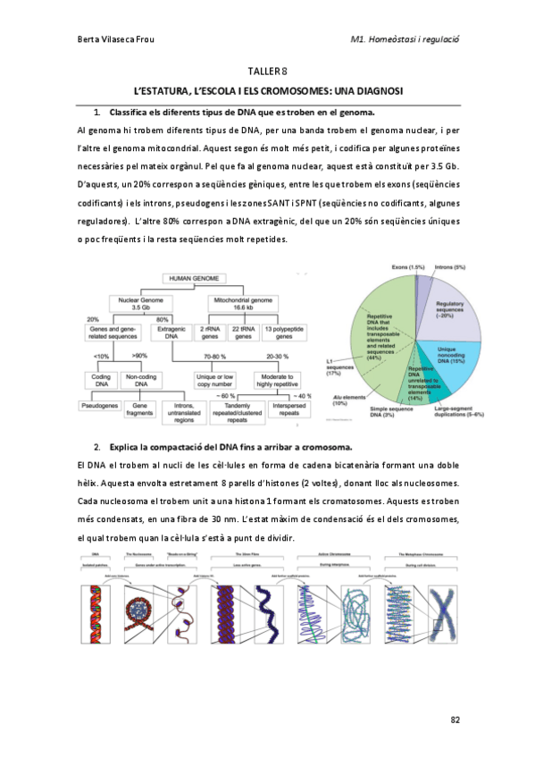 Miniatura del documento TALLER-8.pdf