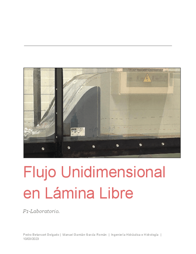 Miniatura del documento INFORME-OIH-1-1.pdf