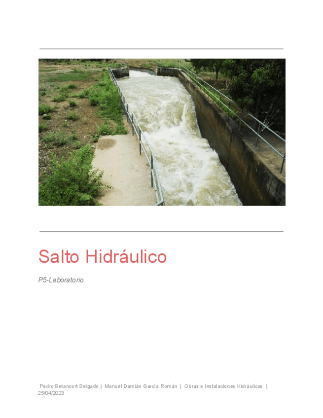 Miniatura del documento Informe-5OIH.pdf