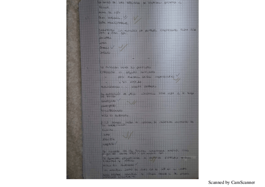 Miniatura del documento preguntas tipo geología.pdf