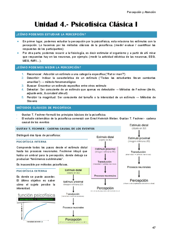 Miniatura del documento unitat-4-percepcio.pdf
