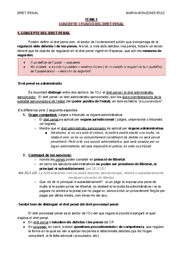 Miniatura del documento PENAL-ITEMA-1.pdf
