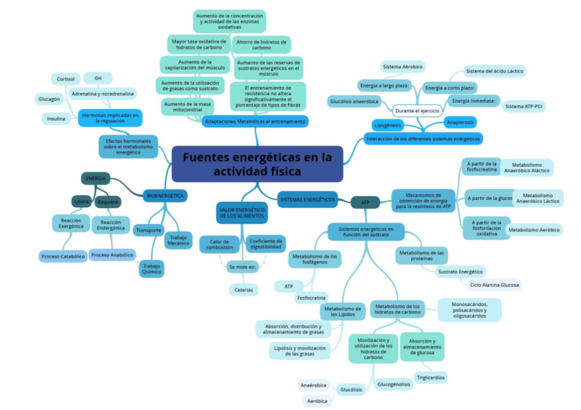 Miniatura del documento Fuentes-Energeticas-de-la-actividad-fisica.pdf