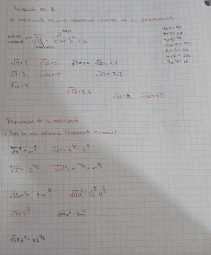 Miniatura del documento Radicacion-en-R.jpeg