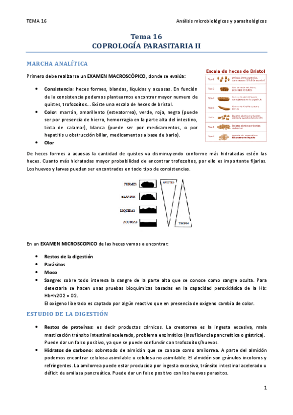 Miniatura del documento TEMA 16.pdf