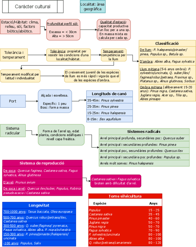 Miniatura del documento Masses-forestals-III.pdf
