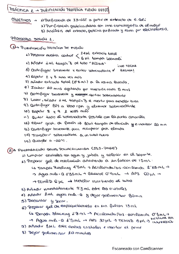 Miniatura del documento GUIA-PRACTICA-2.1-EIP.pdf