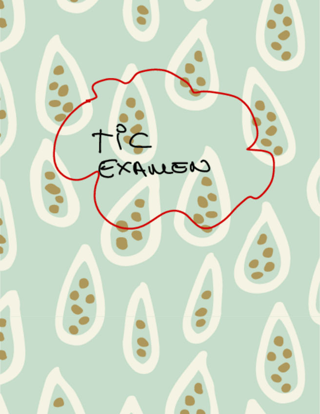 Miniatura del documento Resumen-1.pdf