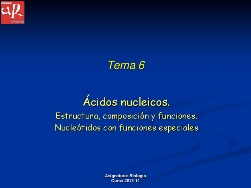 Miniatura del documento Tema 06.Ácidos nucleicos.pdf