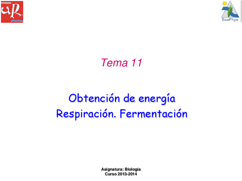 Miniatura del documento Tema 11.Respiración.pdf