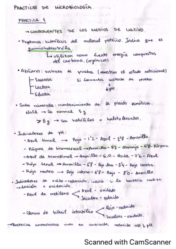 Miniatura del documento APUNTES-EXAMEN-DE-PRACTICAS.pdf