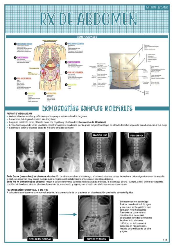 Miniatura del documento RX-DE-ABDOMEN.pdf