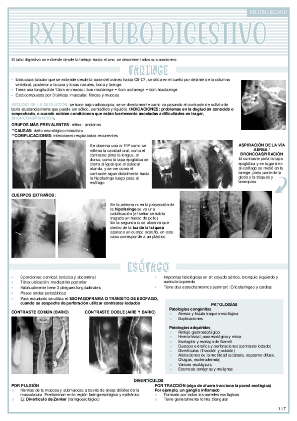 Miniatura del documento RX-DE-TUBO-DIGESTIVO.pdf