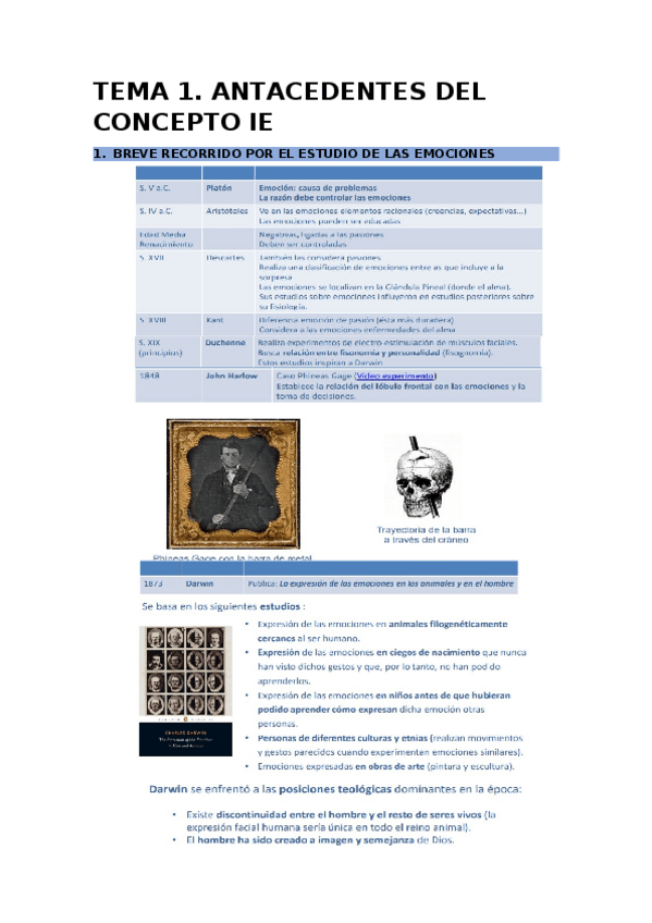 Miniatura del documento TEMA-1-IE.docx