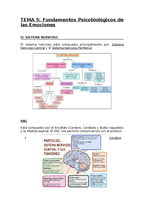 Miniatura del documento TEMA-5-IE.docx