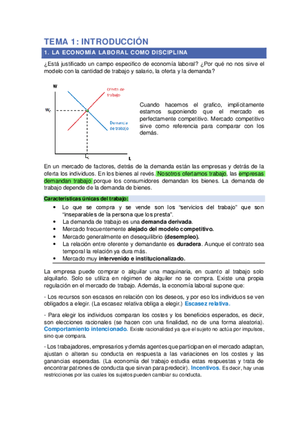 Miniatura del documento teoria-completa-Economia-laboral.pdf