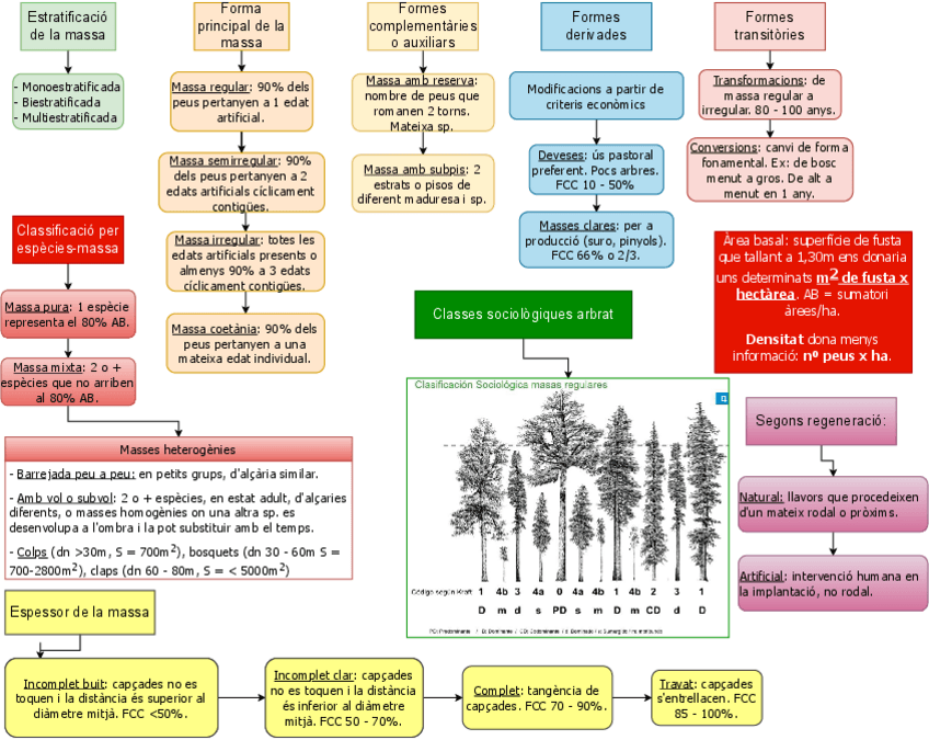 Miniatura del documento Masses-forestals-II.pdf