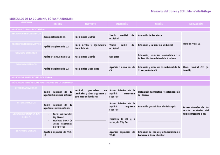 Miniatura del documento MusculosTroncoyEEIIMariaVilaGallego.pdf
