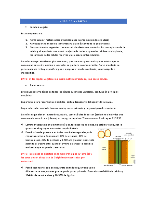 Miniatura del documento Histologia-vegetal-Tema-2.pdf