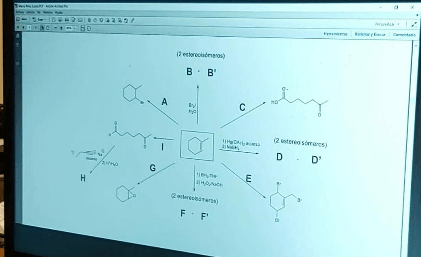Miniatura del documento PHOTO-2022-06-20-13-11-24-5.jpg