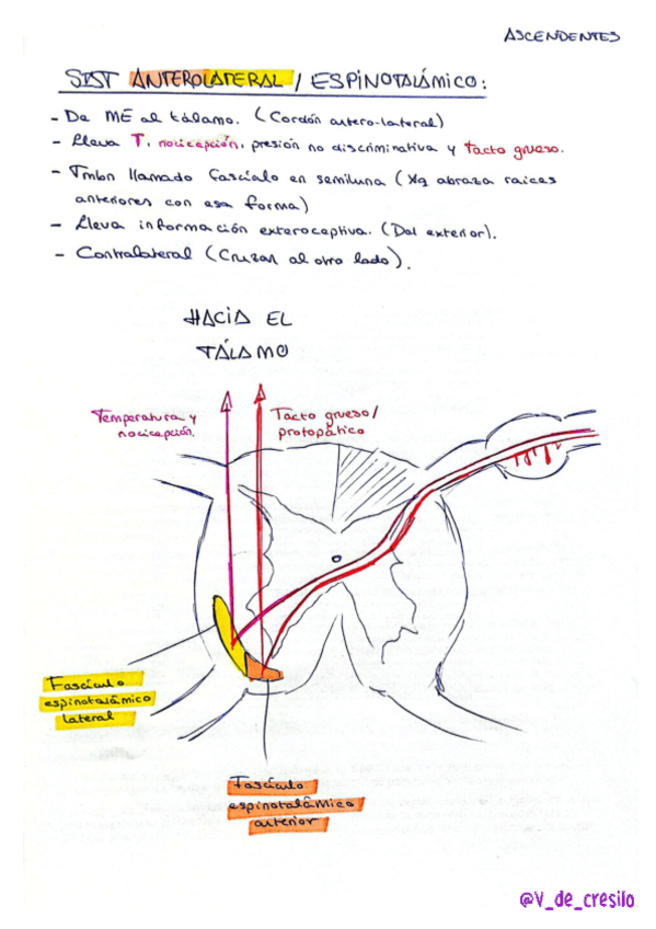 Miniatura del documento Resumen-Vias-Somatosensoriales.pdf