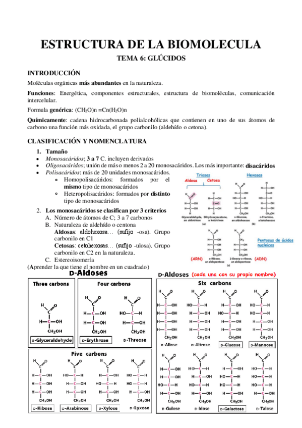 Miniatura del documento TEMA-7-Glucidos.pdf
