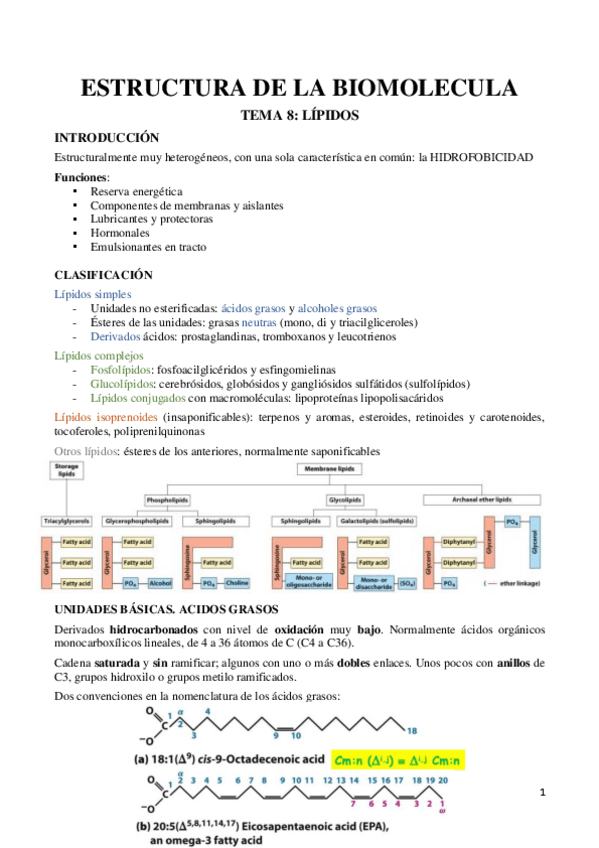 Miniatura del documento TEMA-9-Lipidos.pdf