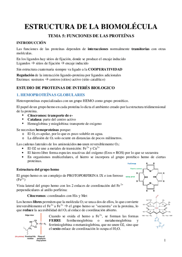 Miniatura del documento TEMA-6-Funciones-de-las-proteinas.pdf