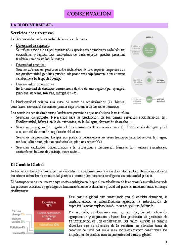 Miniatura del documento 6-Conservacion.pdf