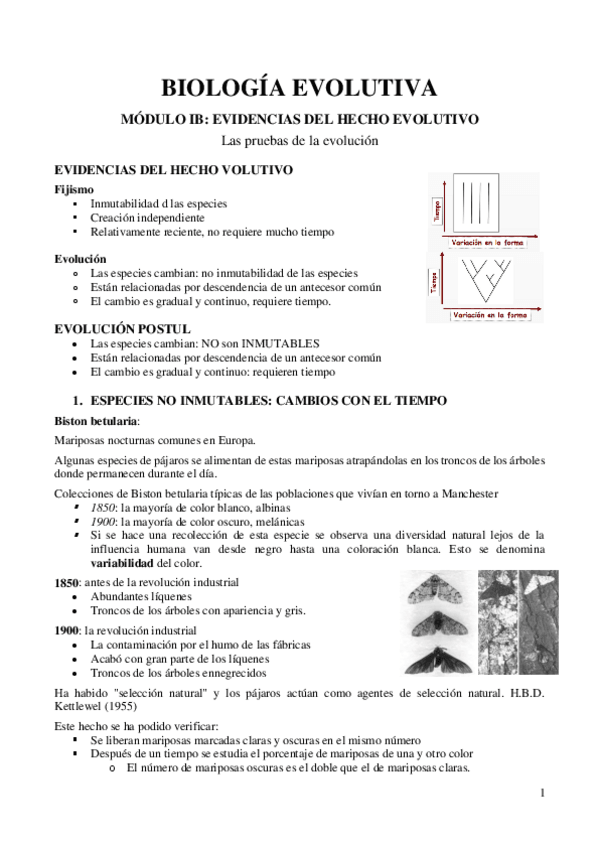 Miniatura del documento TEMA-IB-Evidencias-del-hecho-evolutivo.pdf