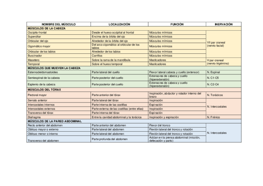 Miniatura del documento Tabla de músculos 2022/2023 + Imágenes.pdf