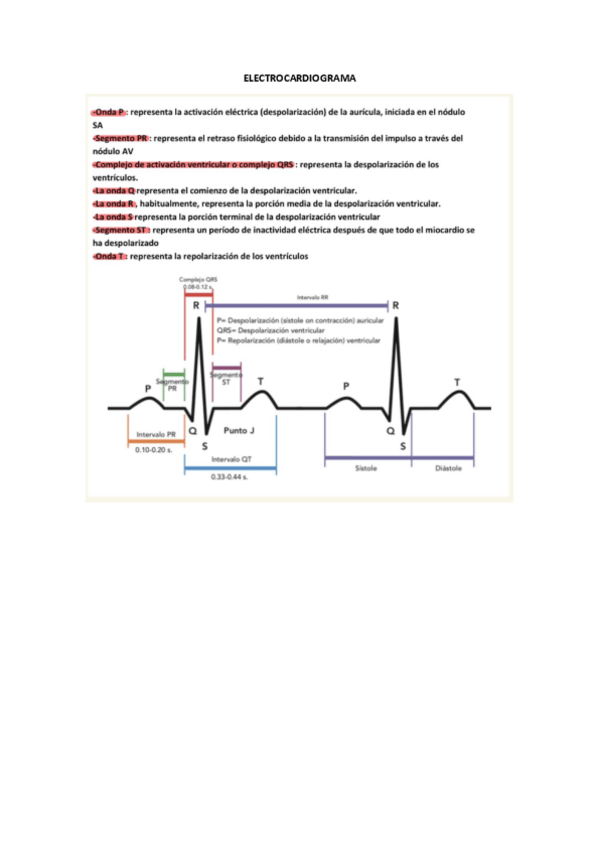 Miniatura del documento Preguntas cortas típicas examen Mar. 1er parcial - RESUELTOS.pdf