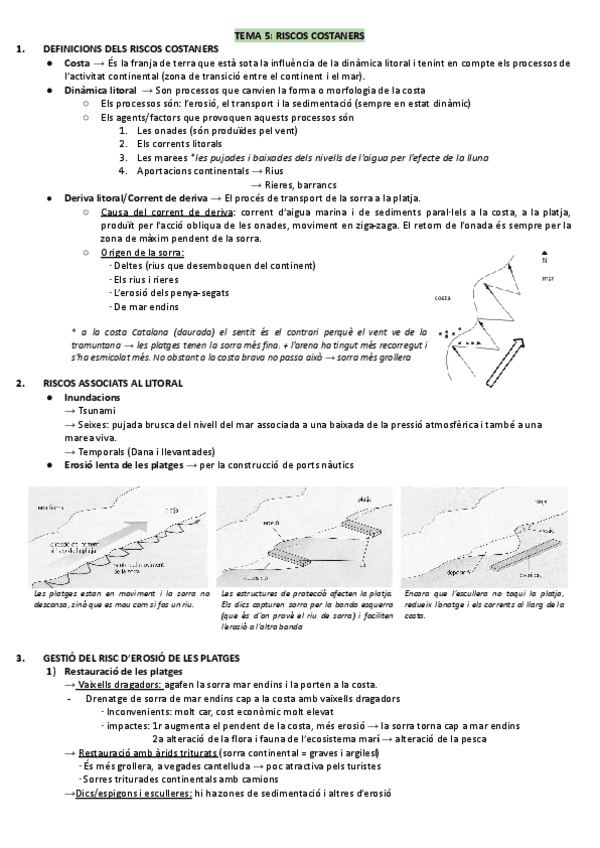 Miniatura del documento Riscos-costaners-Edafosfera-i-Impactes-al-sol.pdf