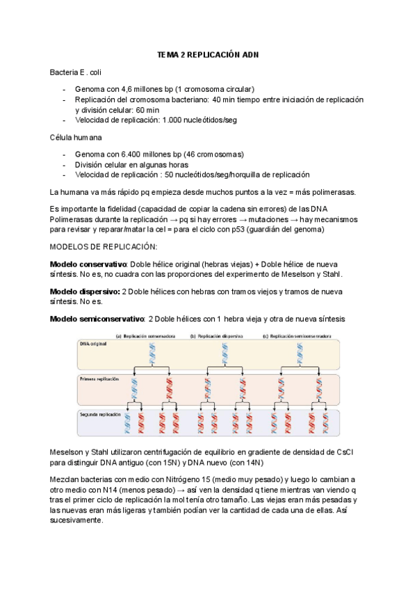 Miniatura del documento Tema-2-Molecular.pdf