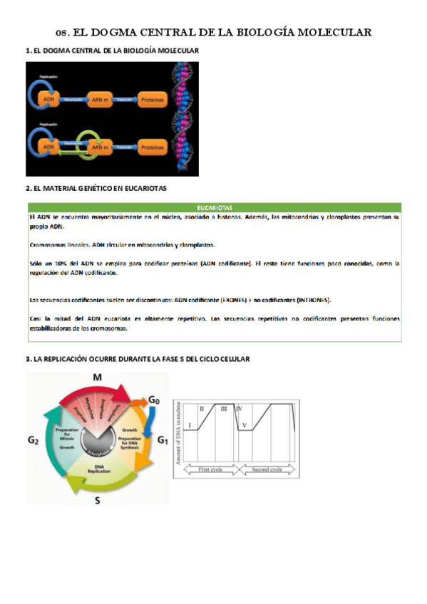 Miniatura del documento 08.-EL-DOGMA-CENTRAL-DE-LA-BIOLOGIA-MOLECULAR.pdf