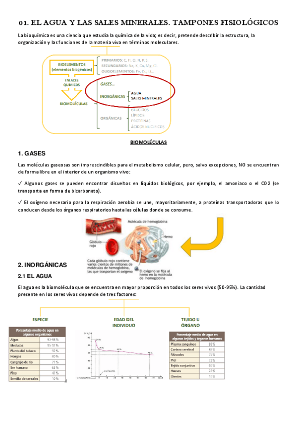 Miniatura del documento 01.-EL-AGUA-Y-LOS-TAMPONES-FISIOLOGICOS.pdf