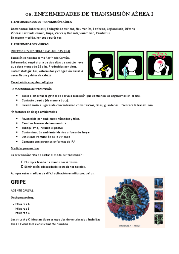 Miniatura del documento 08.-ENFERMEDADES-DE-TRANSMISION-AEREA-I.pdf