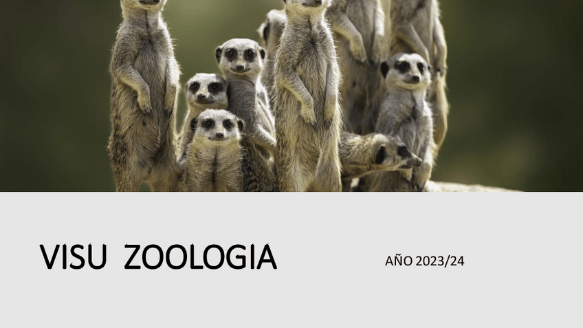 Miniatura del documento Visu-Zoologia- 2023/24.pdf