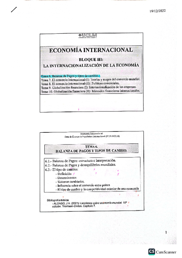 Miniatura del documento Tema-6Economia-internacional.pdf